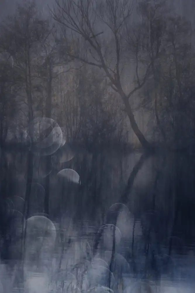 Lee, van Hilda: in der Dämmerung