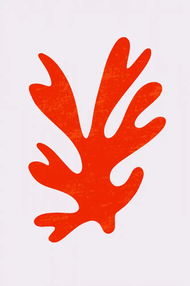 stanley, jay: Abstract Red Algae