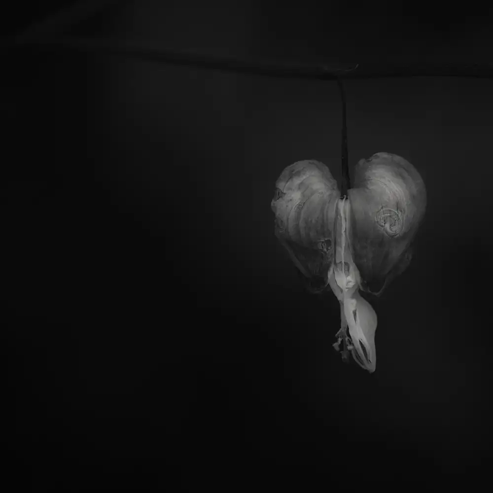 Grønkjær, Lotte: Corazón sangrando