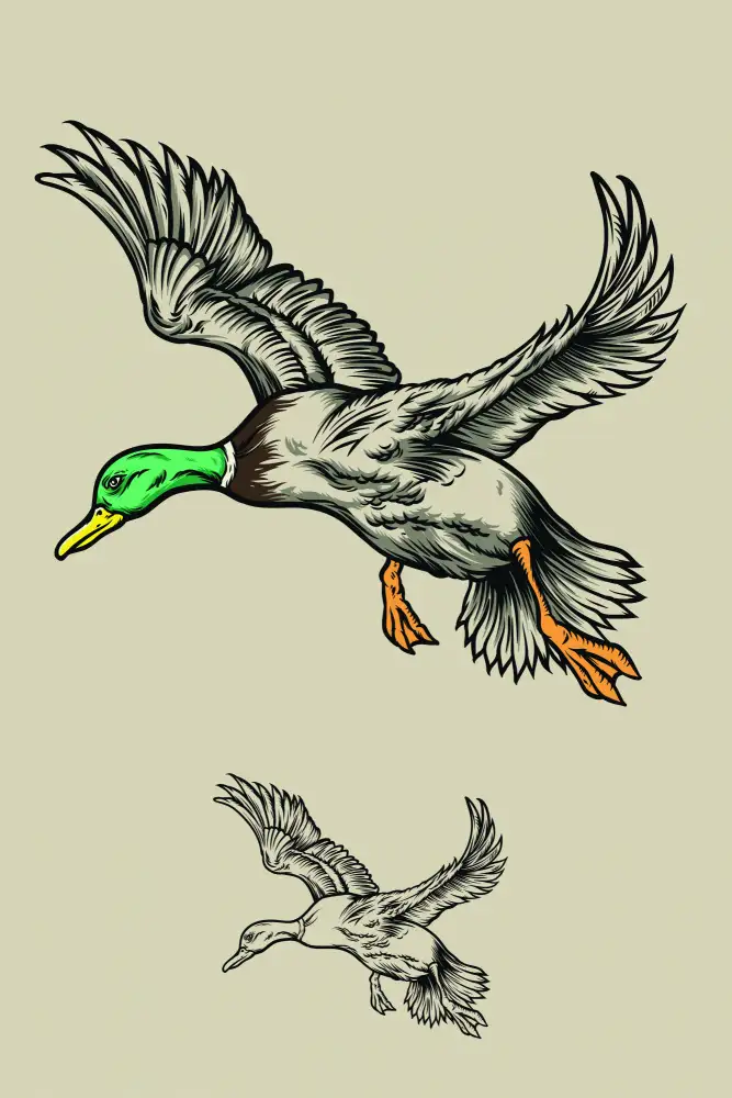 stanley, jay: Flying Ducks