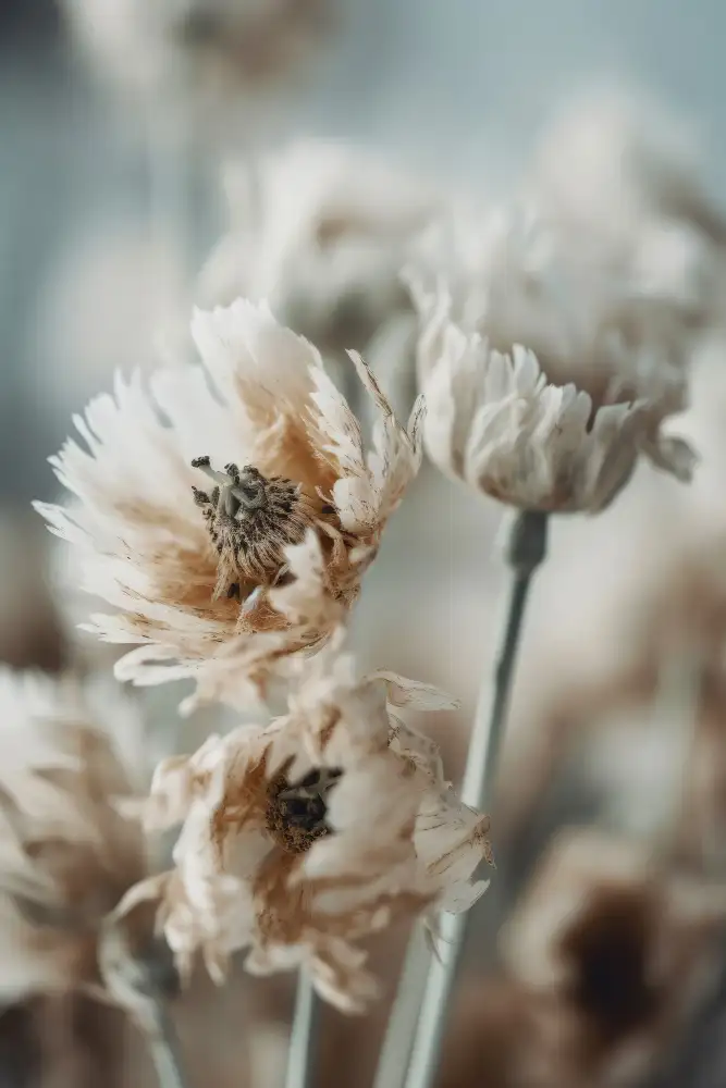 Treechild: Fleurs Pastel Sec N°3