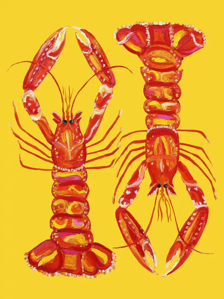Straker, Alice: Langoustines Sur Jaune