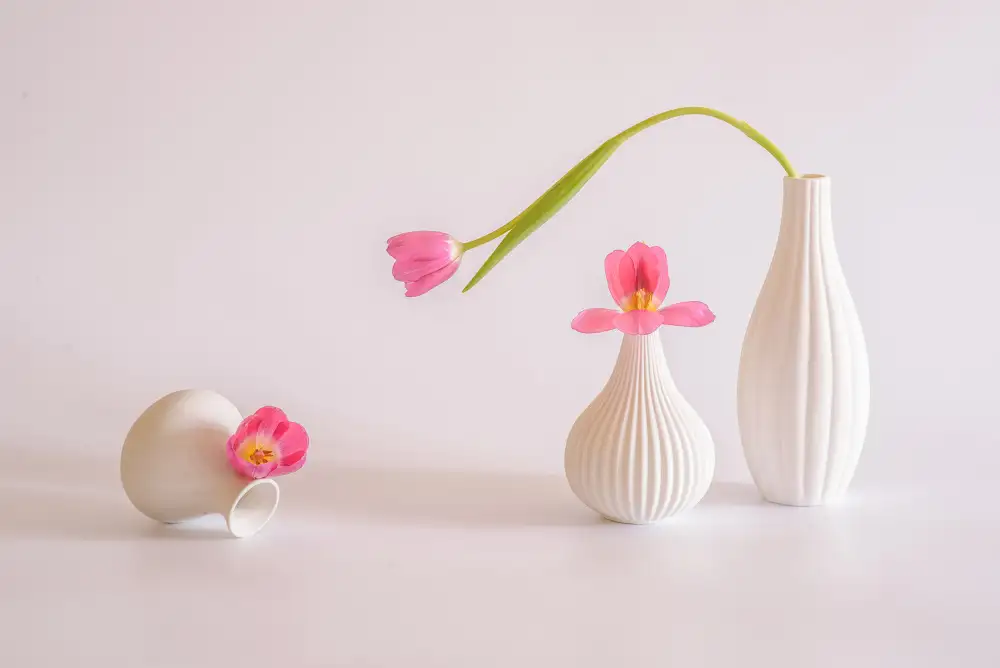 Sheng, Alice: nature morte 76