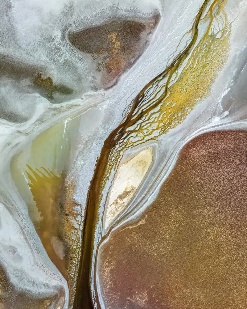 Dou, Shenshen: Venas de salar