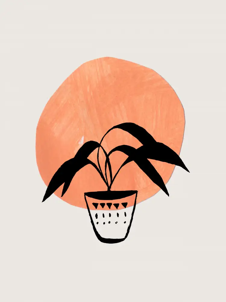 Haniff, Ejaaz: Pot en terre cuite