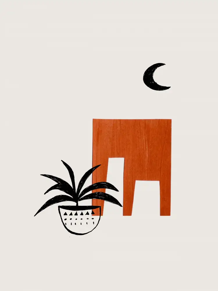 Haniff, Ejaaz: Earth Home