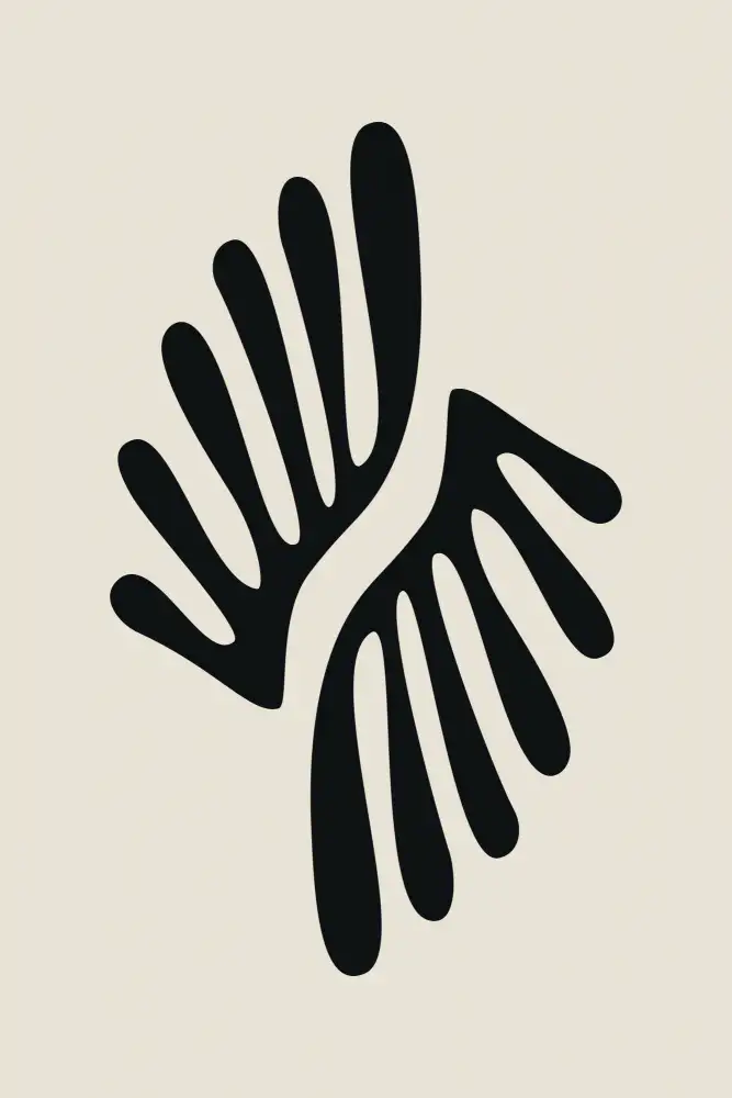 stanley, jay: Collection d'algues noires Henri Matisse #1