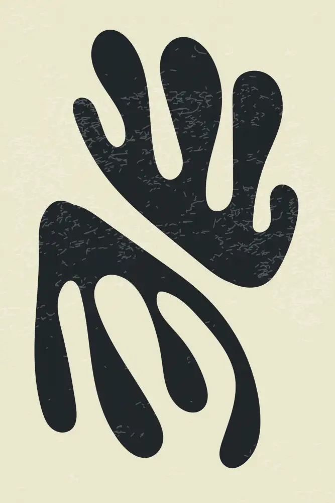 stanley, jay: Série Algues Henri Matisse #4