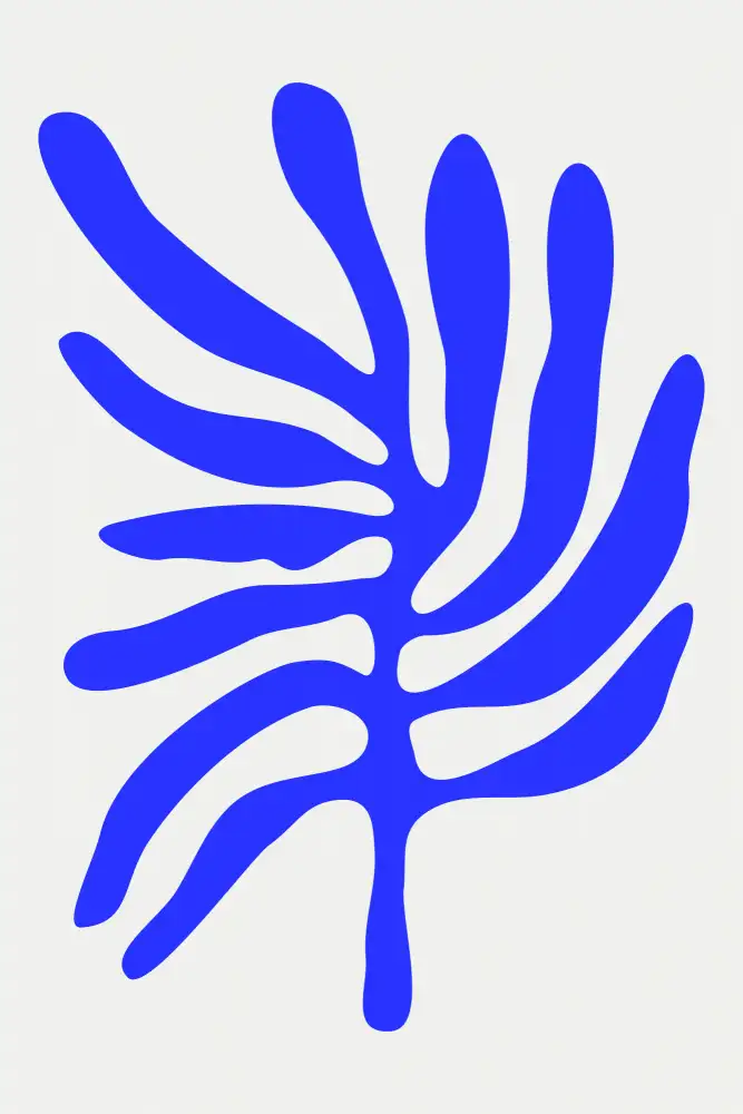 stanley, jay: Collection Bleu Henri Matisse #2