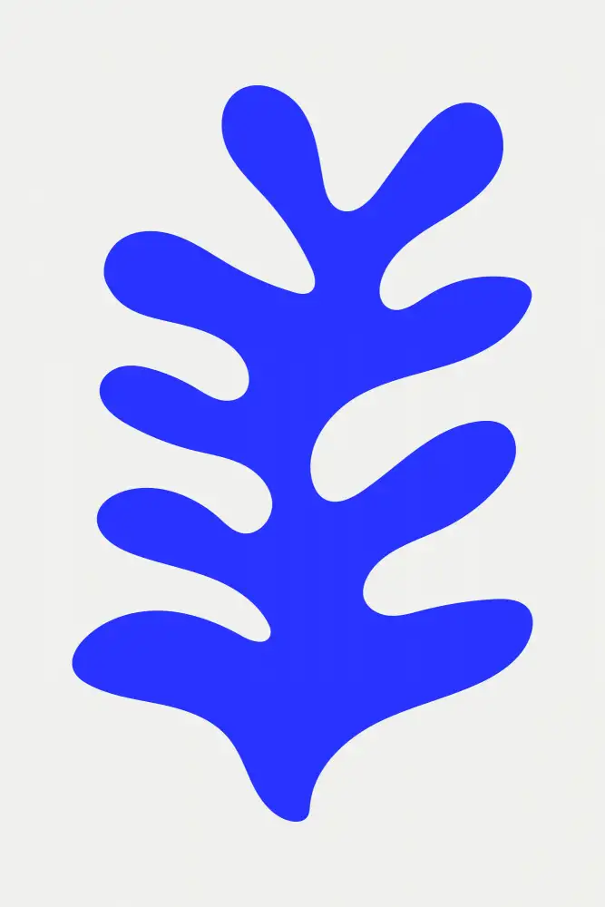 stanley, jay: Collection Bleu Henri Matisse #3