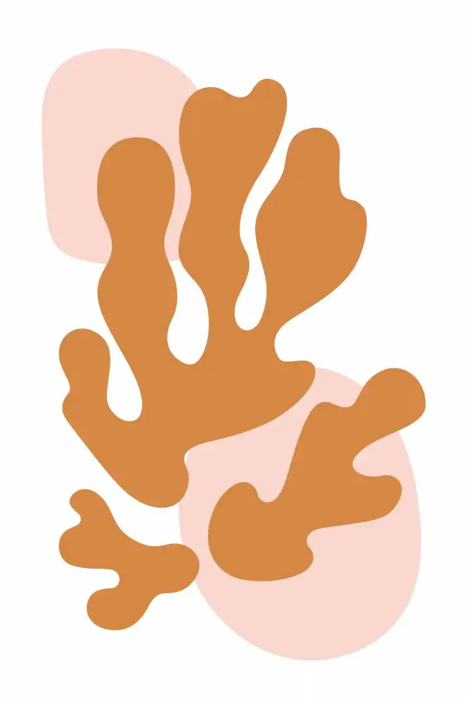 stanley, jay: Collection Henri Matisse #2