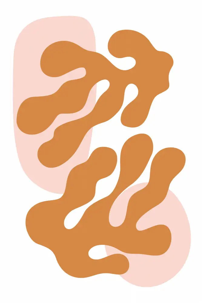 stanley, jay: Collection Henri Matisse #4