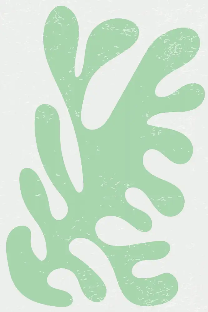 stanley, jay: Les Algues #2 d'Henri Matisse