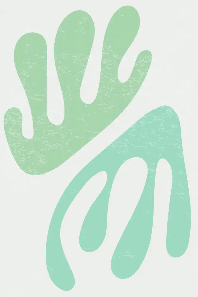 stanley, jay: Les Algues #4 d'Henri Matisse