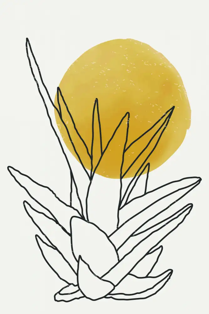 stanley, jay: Sole astratto dell'agave #2