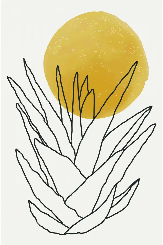 stanley, jay: Sole astratto dell'agave n. 1