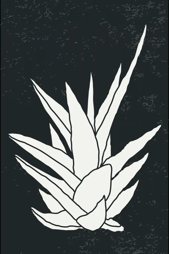 stanley, jay: Agave n. 1