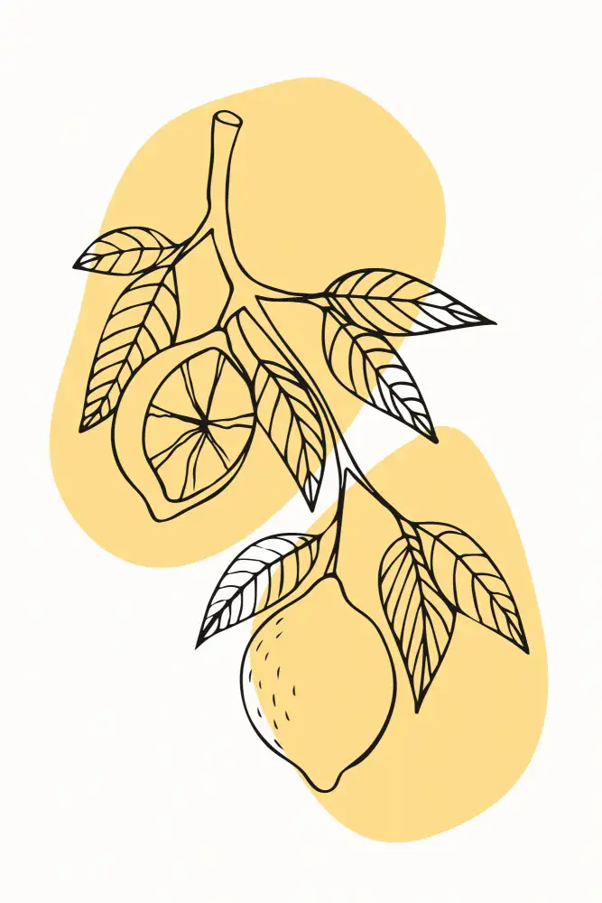 stanley, jay: Boho Fruits #2