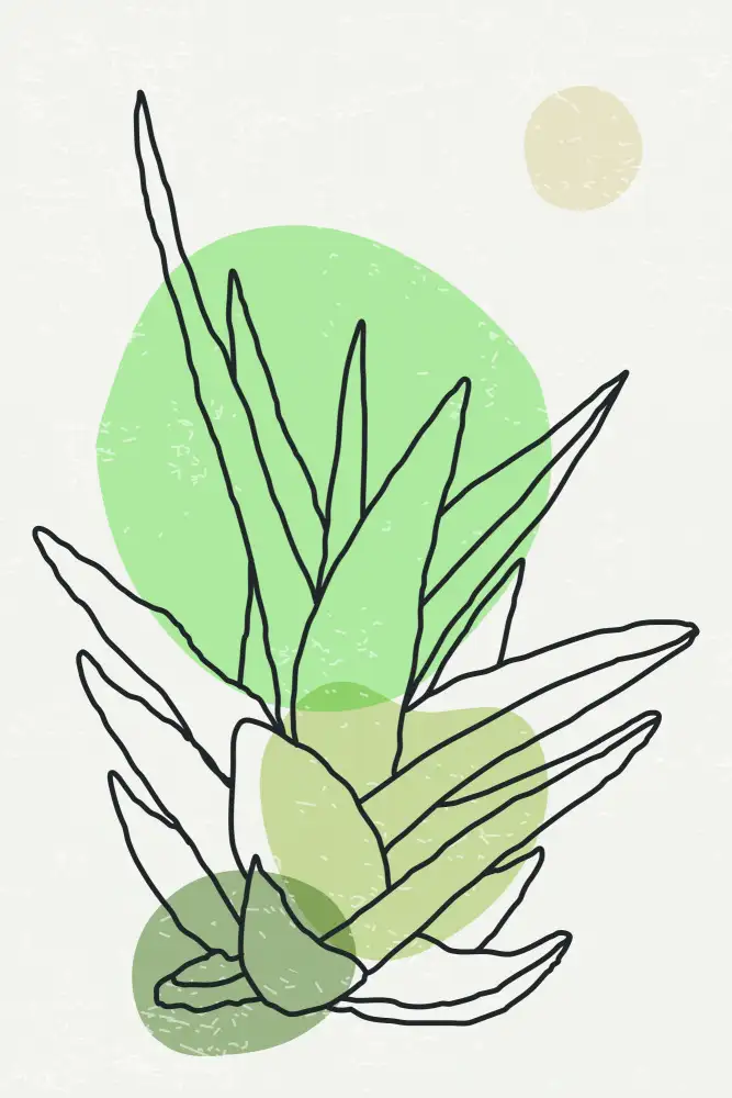stanley, jay: Agave abstrait couleur #3