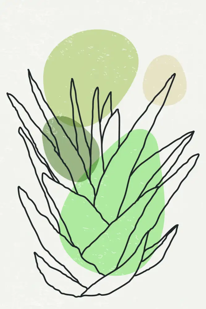 stanley, jay: Colore astratto Agave #2