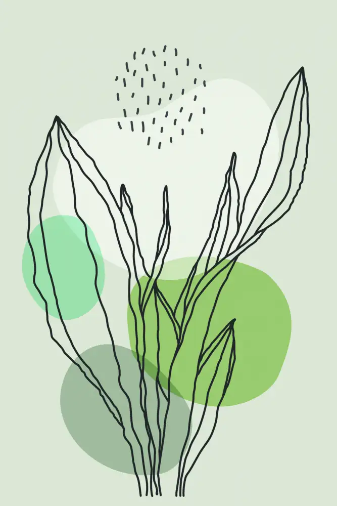 stanley, jay: Plantes abstraites en couleur #3