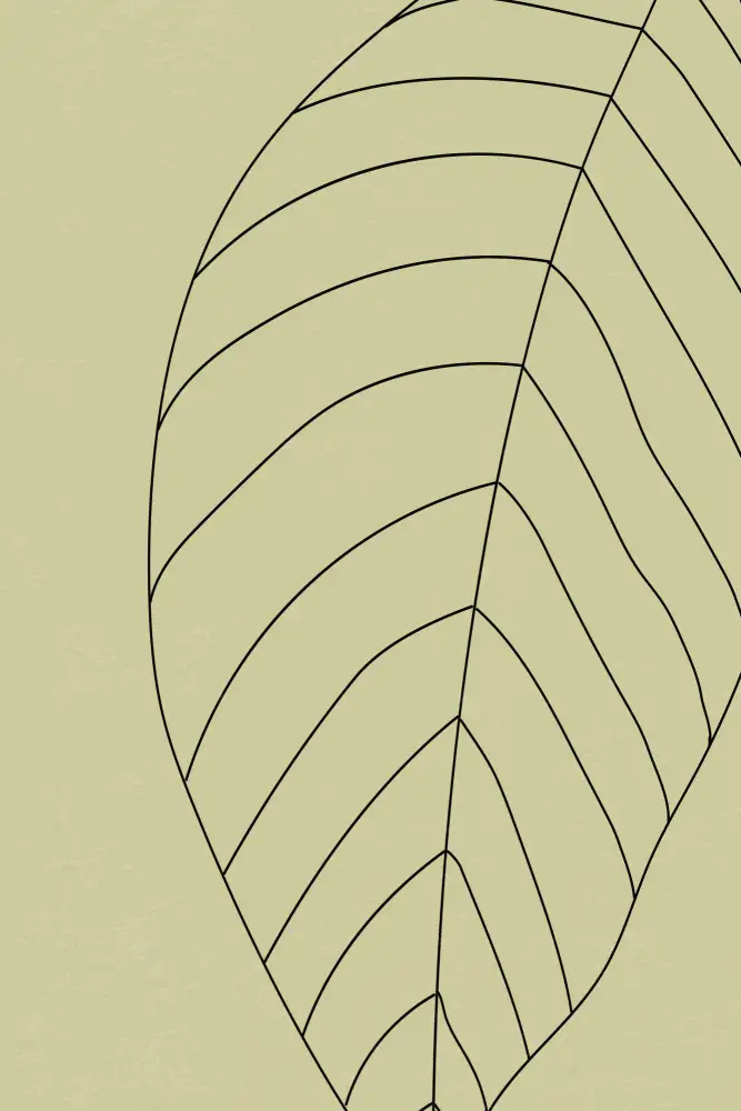 stanley, jay: Minimal Leaves #4