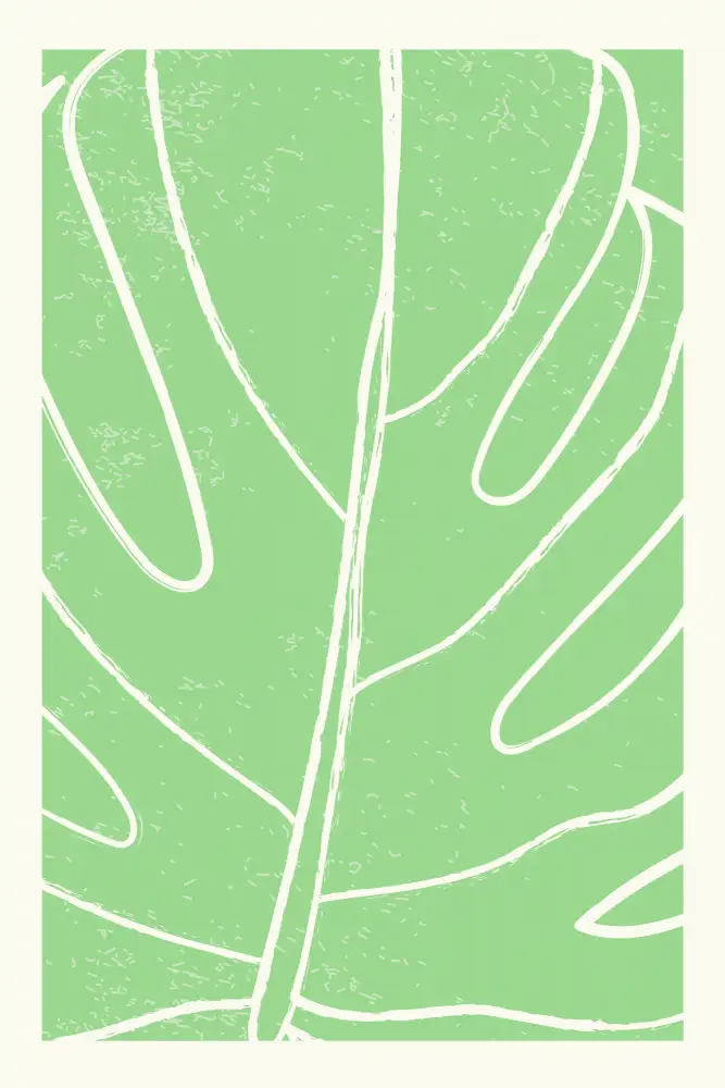 stanley, jay: Collection Monstera minimale #1