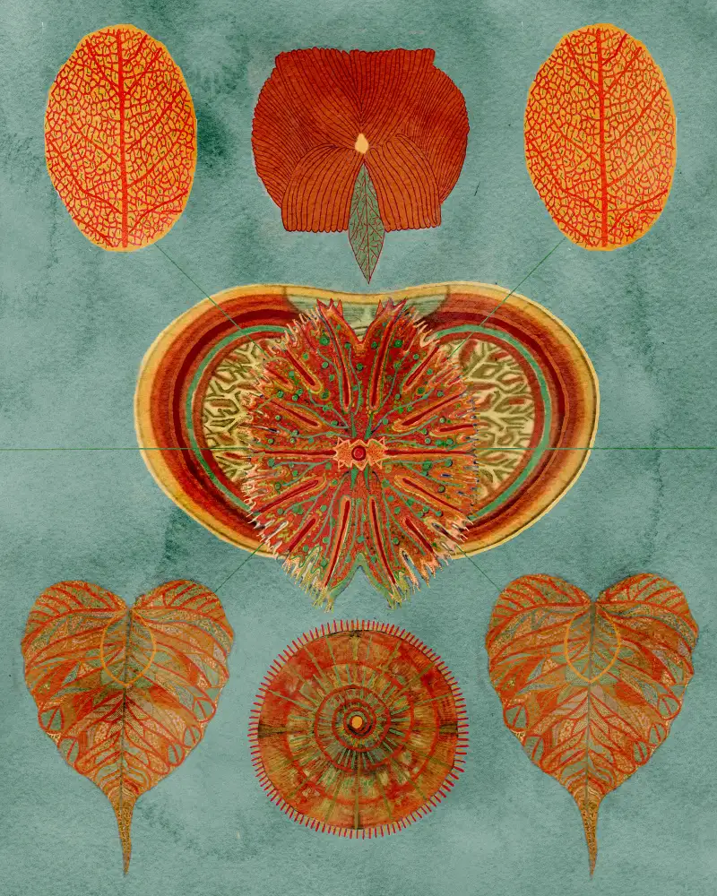 nicolo, giovanna: Abstract Symmetry