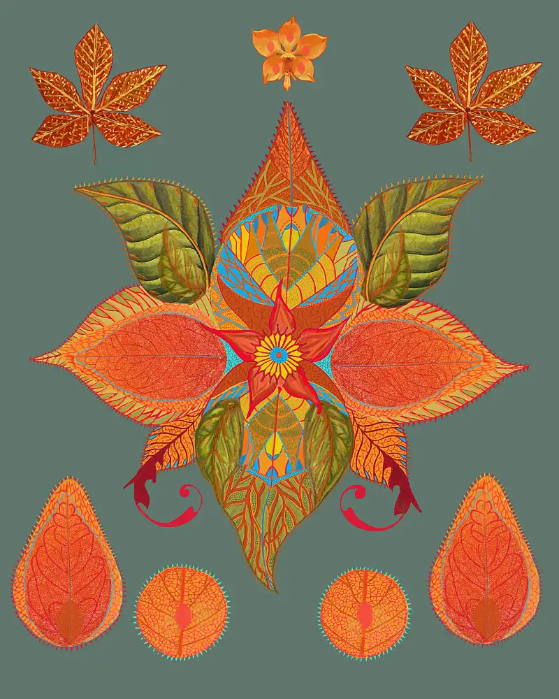 nicolo, giovanna: Inventive Leaves