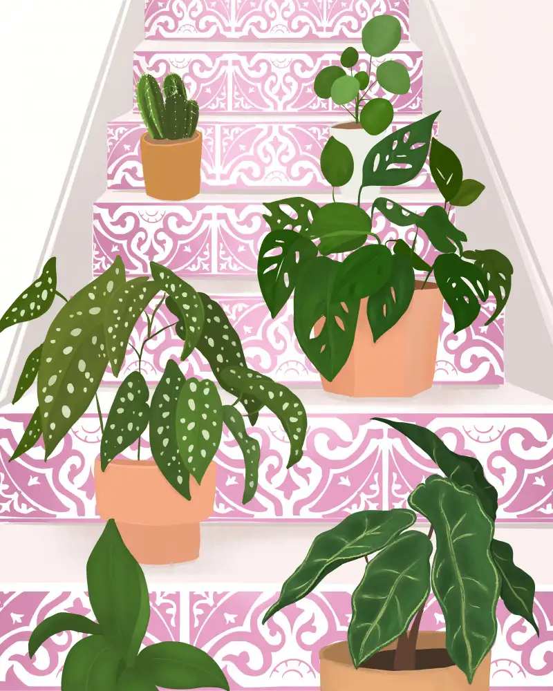 Lizde, Petra: Plants