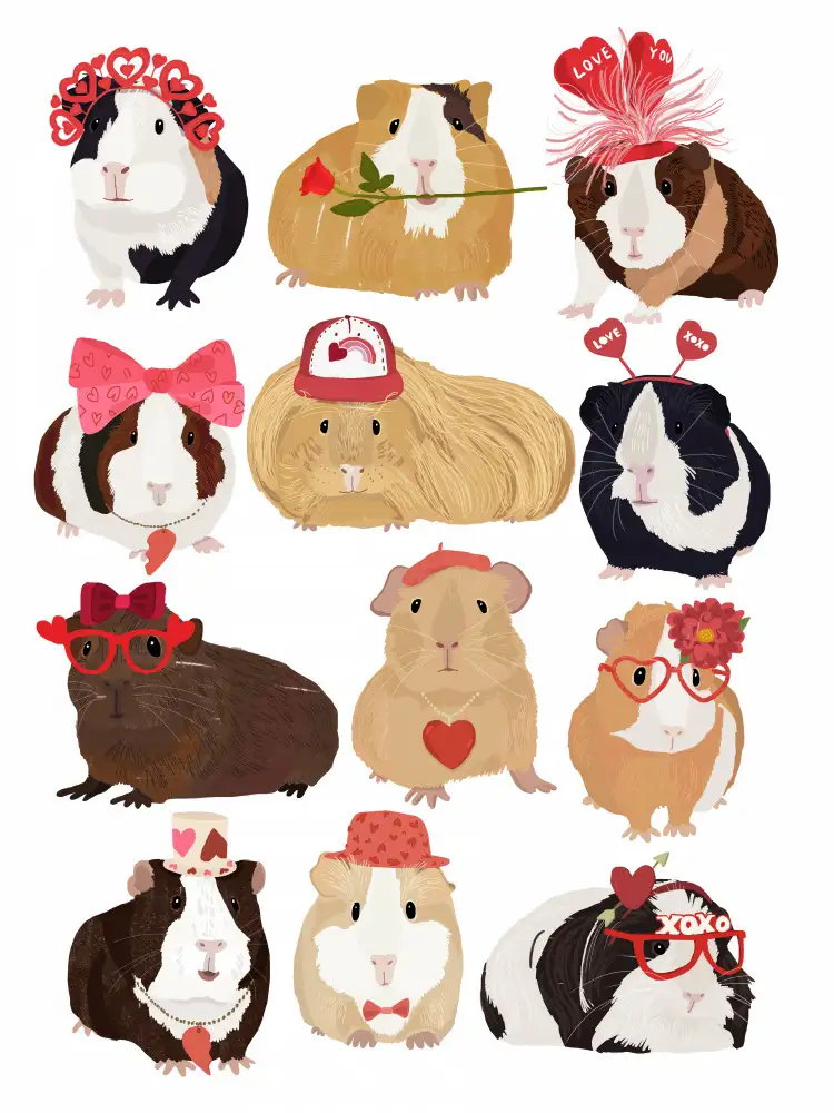 Melin, Hanna: Love Guinea Pigs