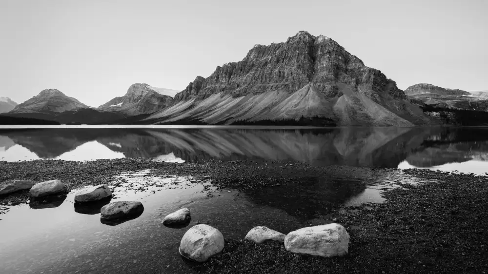 Harding, Craig: Bow Lake Morning