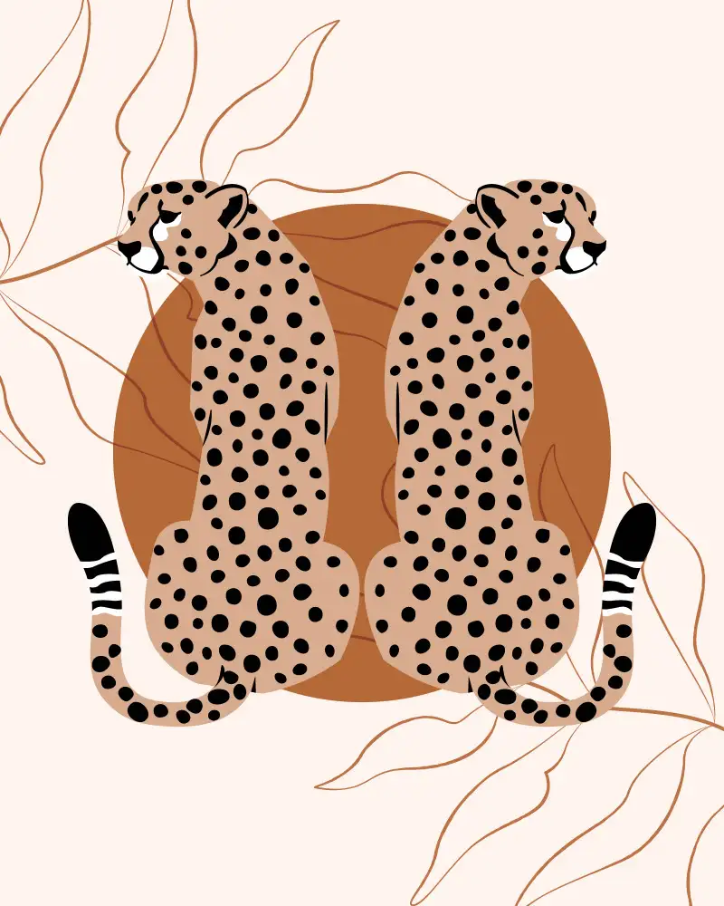Cai, Beth: Cheetah