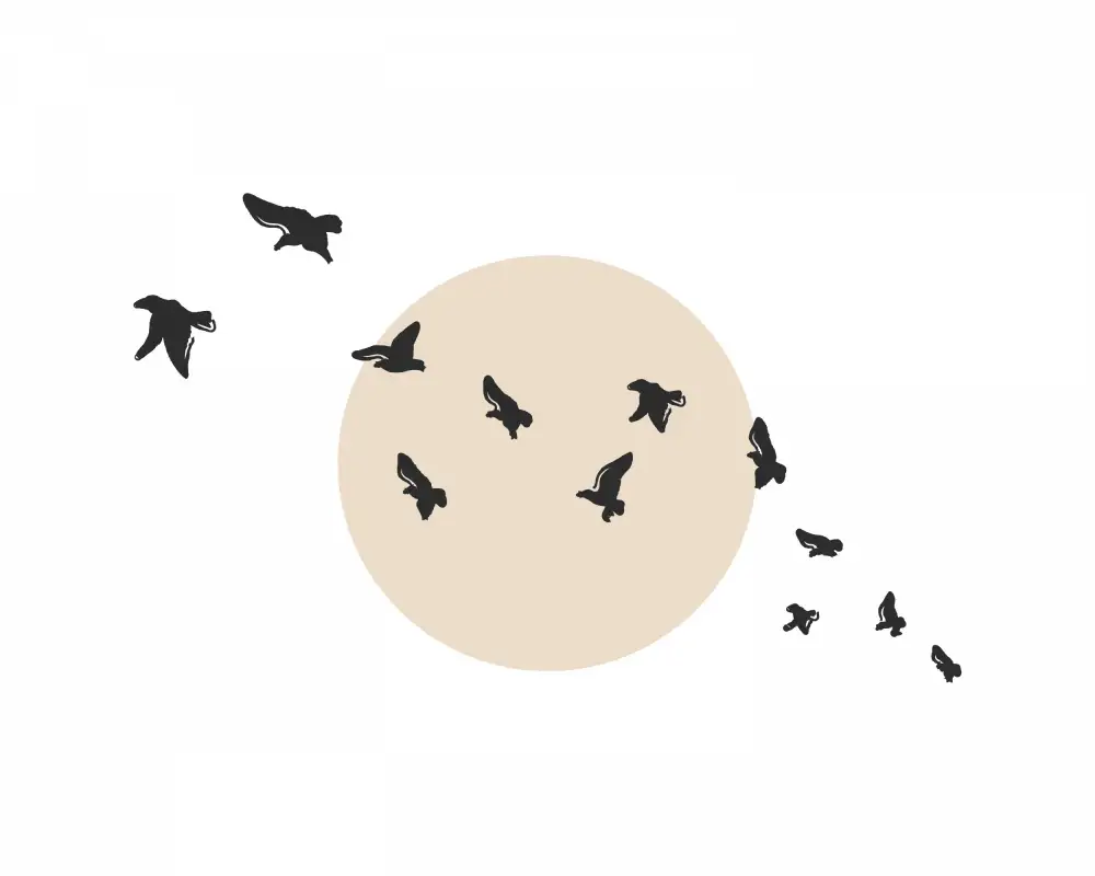 Cai, Beth: Flock