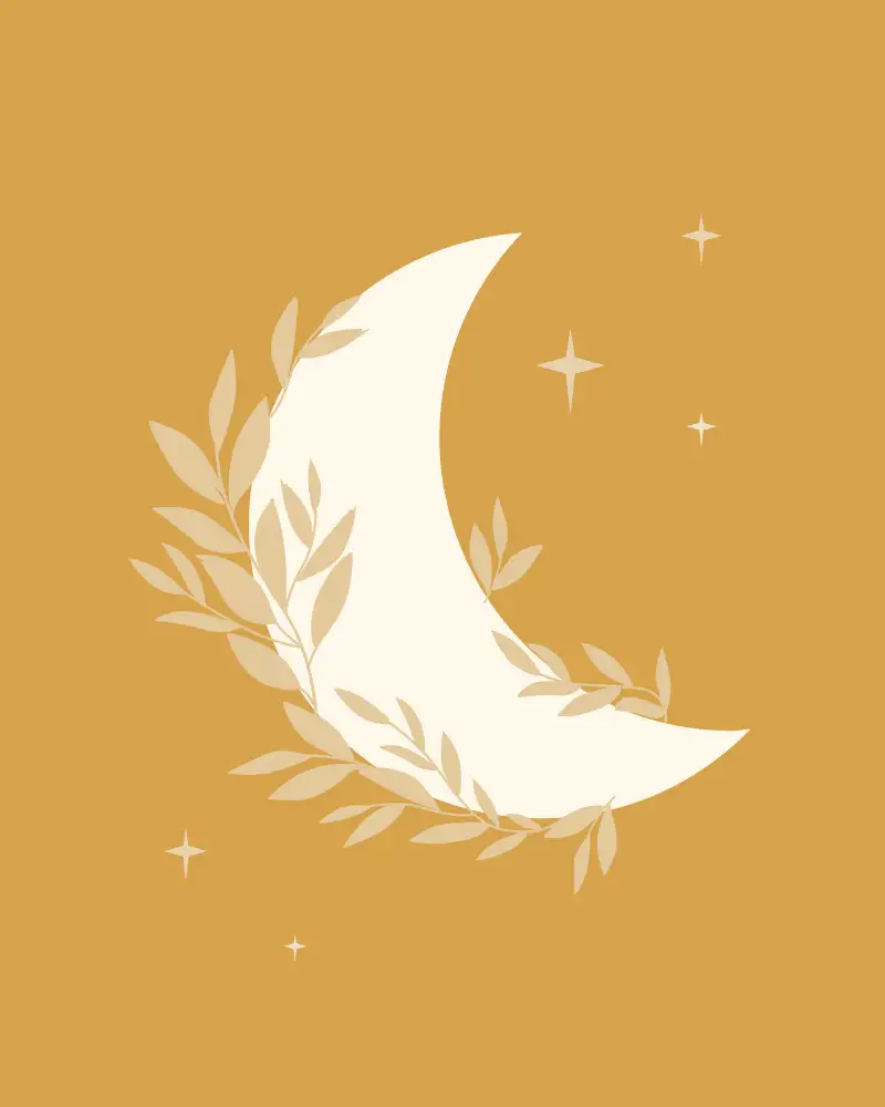 Cai, Beth: Moon