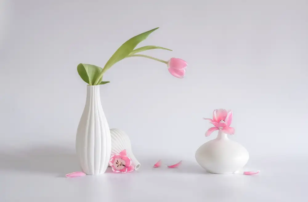 Sheng, Alice: nature morte 80