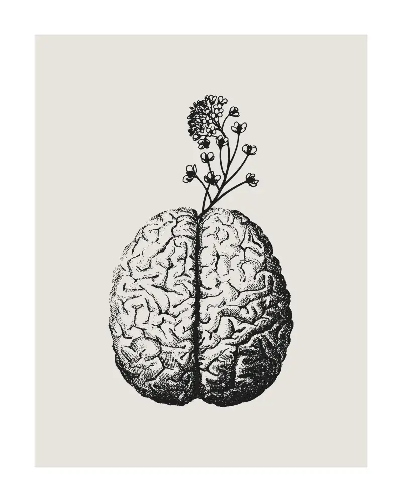 Cai, Beth: Brain Bloom