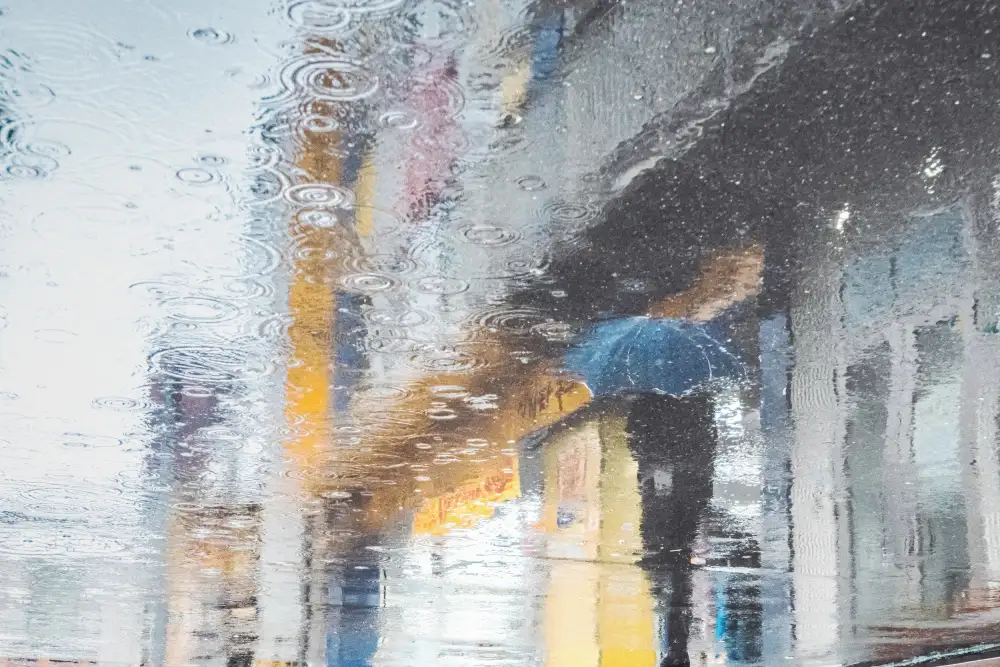 Sakamoto, Haruyo: Leben im Wasser