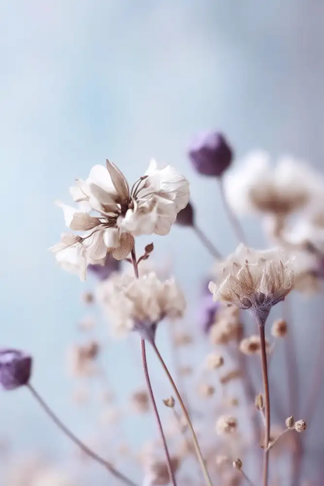 Treechild: Fleurs Sèches Pastel N°4