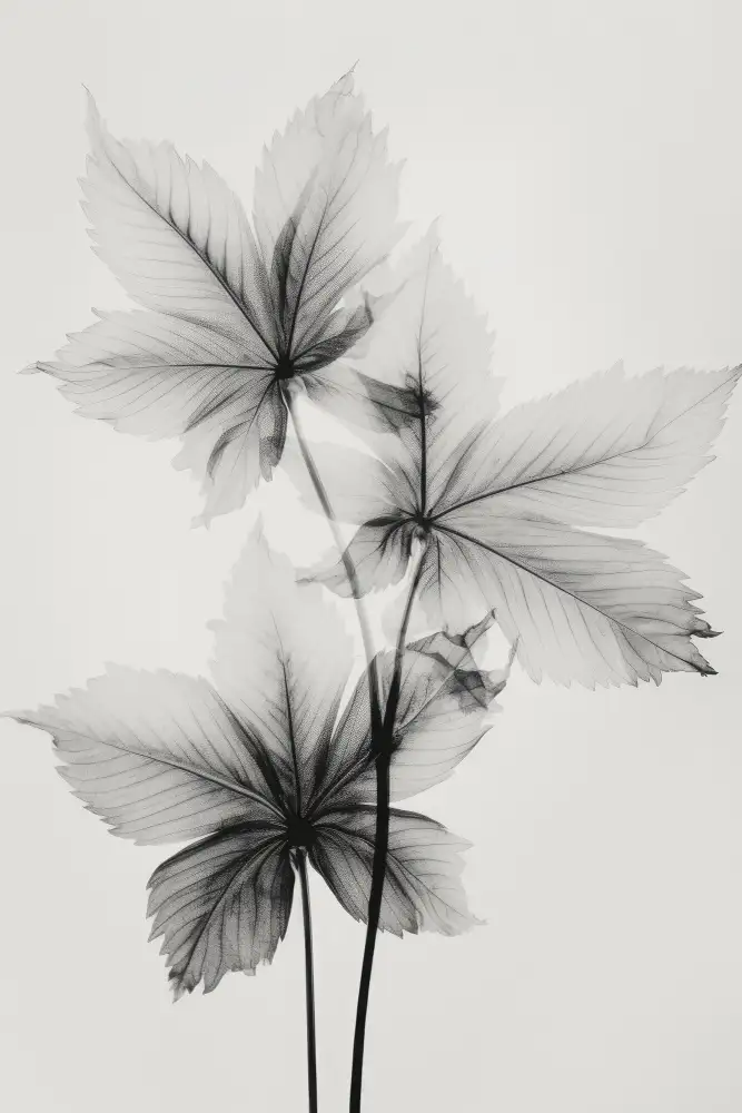 Treechild: Botanique Transparent N°5