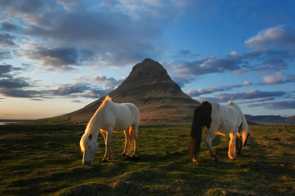 Kravanja, Jure: Montagne Kirkjufell