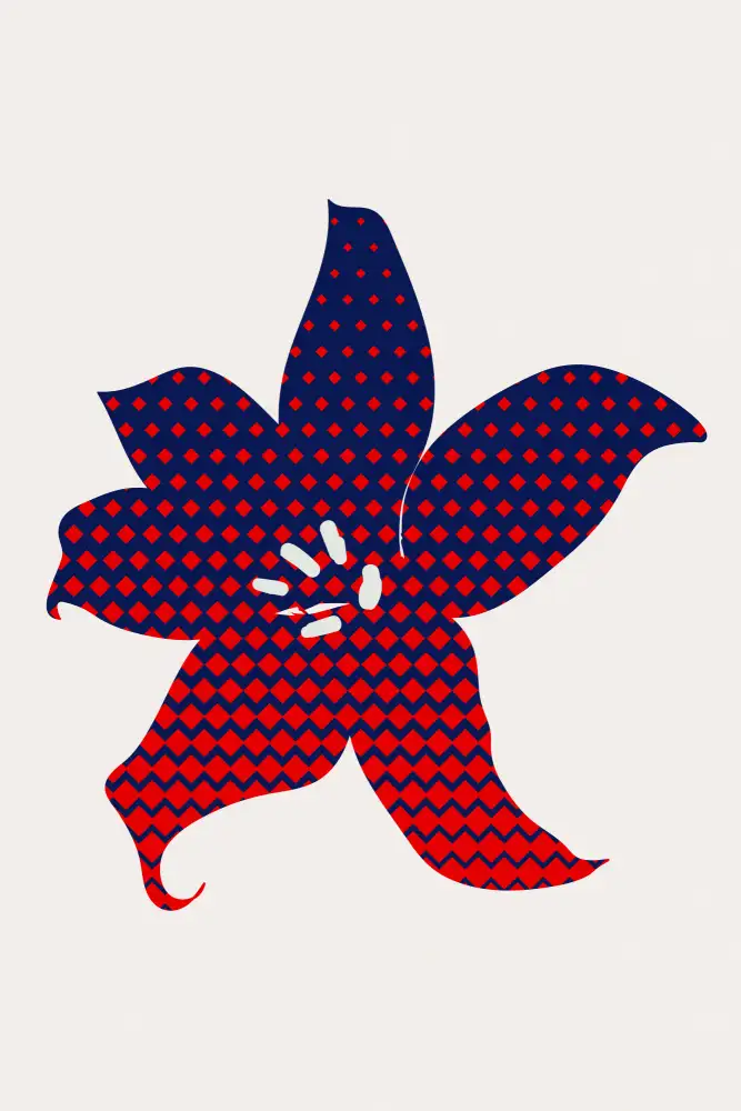 Kubistika: Fiore pop