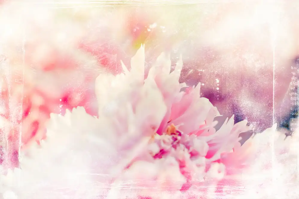 Kulik, Rafal: Ombre032flower