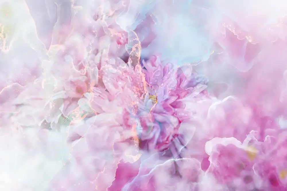 Kulik, Rafal: Ombre089flower