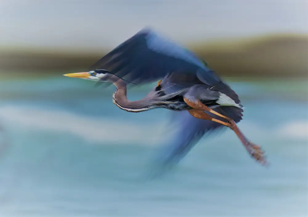 He, Mike: Fliegen in Zeitlupe