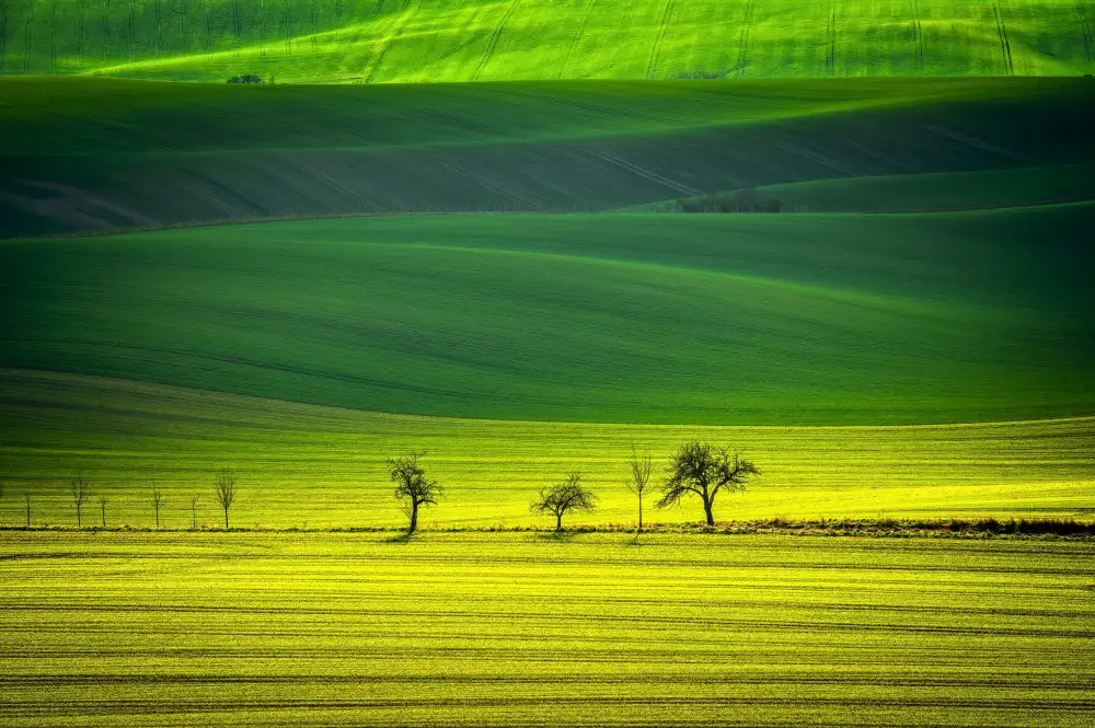 Uhrin, Milan: Green Tsunami