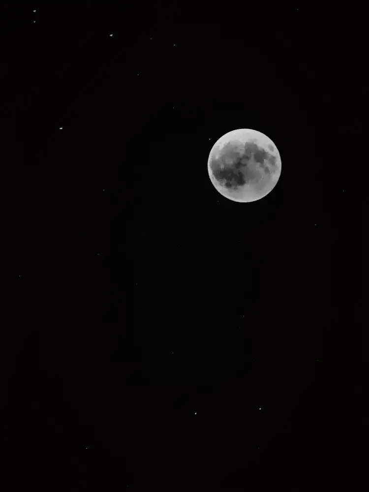 Braxton, Ryan: luna