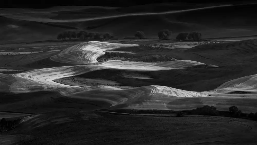 NanZ: The View Of Palouse
