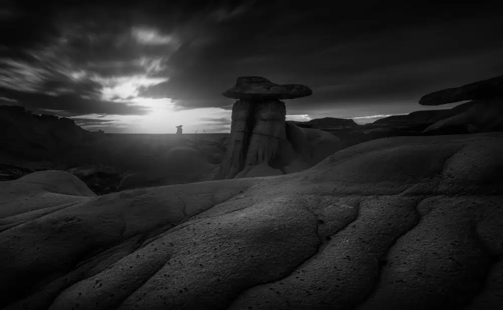 P., Ruiqing: Barren Land