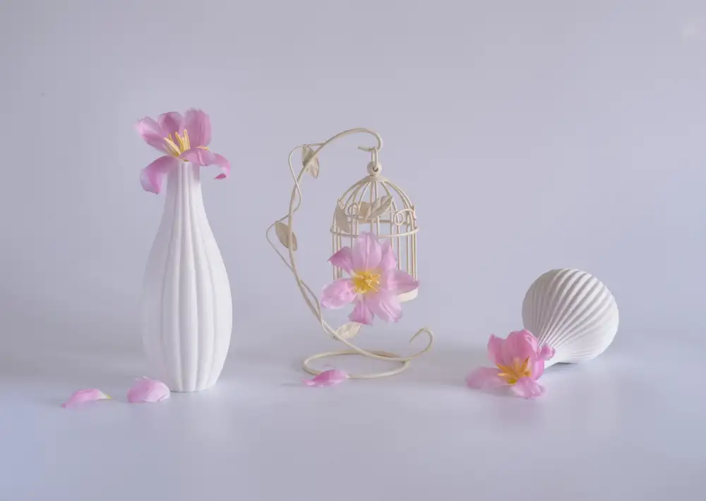 Sheng, Alice: nature morte 84